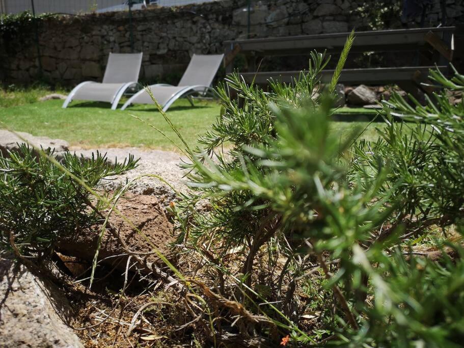 Location Casa Di Lesia A / Porto-vecchio * Sotta